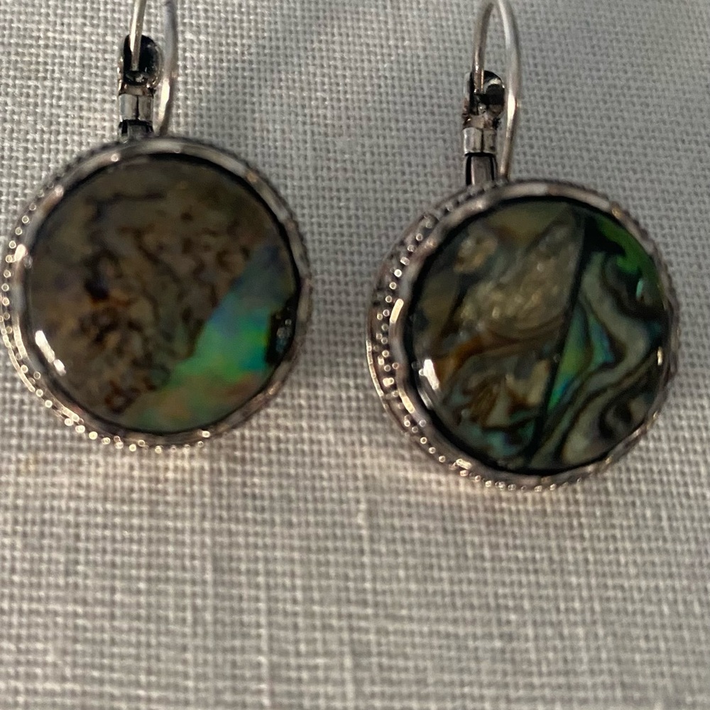 Silver and Green/Brown Earrings